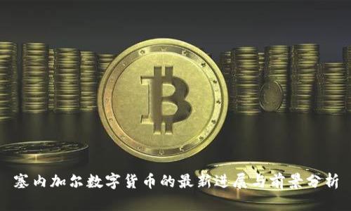 塞内加尔数字货币的最新进展与前景分析