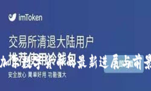 塞内加尔数字货币的最新进展与前景分析