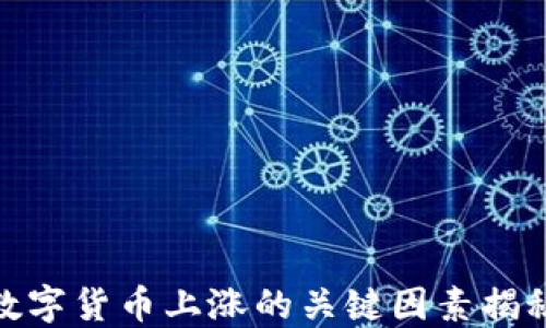 
数字货币上涨的关键因素揭秘
