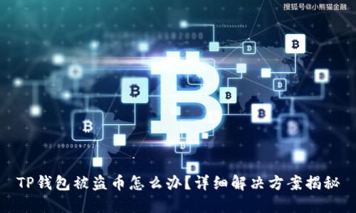 TP钱包被盗币怎么办？详细解决方案揭秘