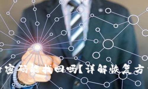 TP钱包的登录密码能找回吗？详解恢复方法与注意事项