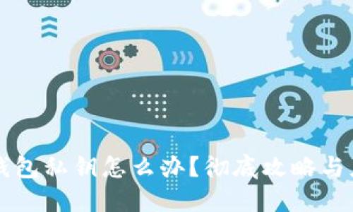 忘记TP钱包私钥怎么办？彻底攻略与应对方案