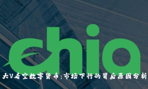 大V看空数字货币：市场下行的背后原因分析