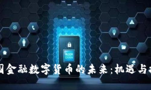 中国金融数字货币的未来：机遇与挑战