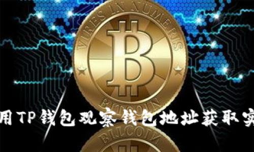 如何使用TP钱包观察钱包地址获取实时数据