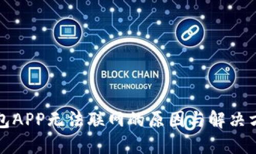 钱包APP无法联网的原因与解决方案